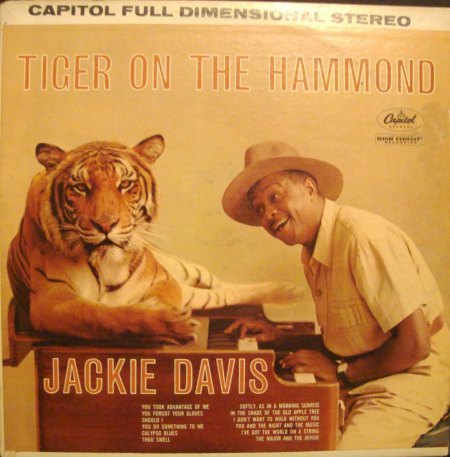 Davis, Jackie - Tiger on the hammond_4.JPG