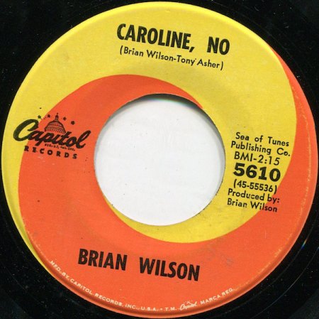 Brian Wilson 1.jpg
